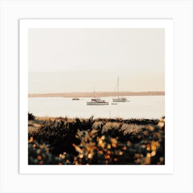 Sailboat On Ocean Square Art Print