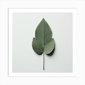 Eucalyptus Leaf 1 Art Print