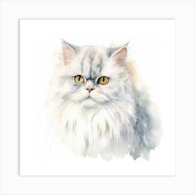 Chinchilla Persian Cat Portrait Art Print