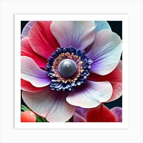 Anemone Flower Art Print