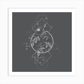 Vintage Provence Rose Bloom Botanical with Line Motif and Dot Pattern in Ghost Gray n.0293 Art Print