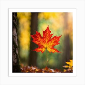 Maple Leaf In The Forest Art Print