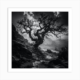 Lone Tree Art Print