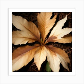 Brown And White Wilted Leaves On The Ground, Top View Art Print