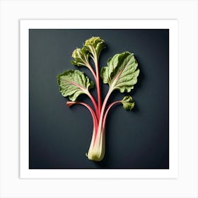 Rhubarb 136 Art Print