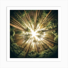 Forest In The Sun 1 Art Print