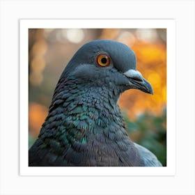 Pigeon 4 Art Print