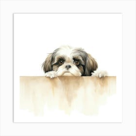 Shih Tzu 9 Art Print