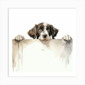 Springer Spaniel Art Print