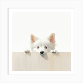 White Dog Peeking Over The Fence Art Print