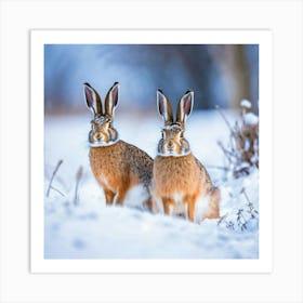 Two Hares In The Snow 1 Art Print