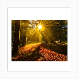 Autumn Sunrays Art Print