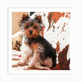 Yorkshire Terrier 1 Art Print