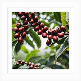 Coffee Beans On The Tree 4 Art Print