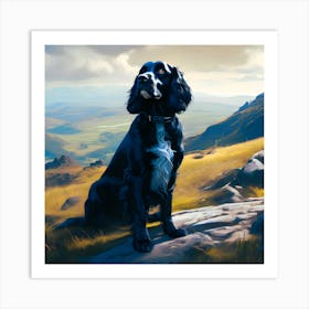 Springer Spaniel Art Print