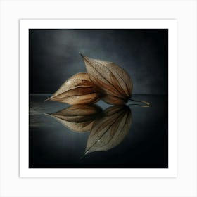 Two Leaves On A Black Surface Art Print