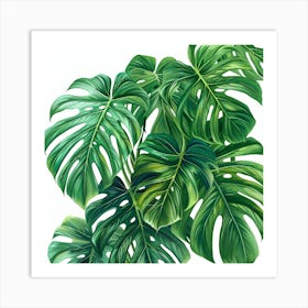 Monstera Leaves 1 Art Print