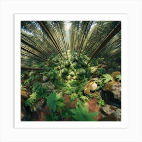 Ferns In The Forest 8 Art Print