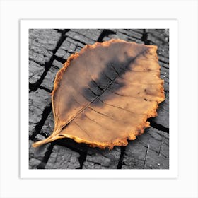 Burnt Leaf Art Print