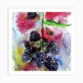 Blackberries On The Vine Art Print