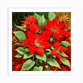 Poinsettia 2 Art Print