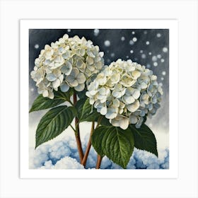 Hydrangeas Art Print