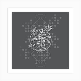 Vintage Evergreen Oak Botanical with Line Motif and Dot Pattern in Ghost Gray n.0257 Art Print