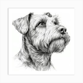 Airedale Terrier Art Print