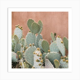 Cactus Near House Art Print