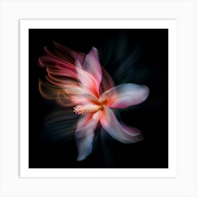 Hibiscus Flower 1 Art Print