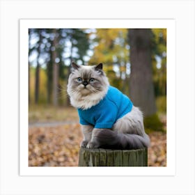 Cat In Sweater Art Print