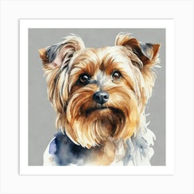 Yorkshire Terrier Art Print