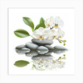 White Orchids On Rocks Art Print