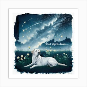 Don'T Try To Dream Canvas Print Art Print