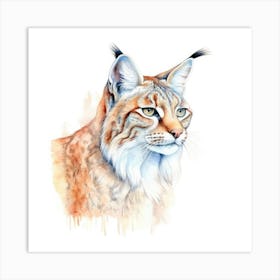 Balkan Lynx Cat Portrait 1 Art Print