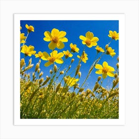 Yellow Cosmos Flowers Art Print