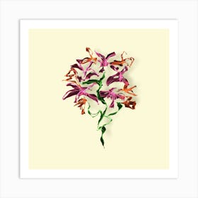 Orchids Art Print