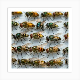 Group Of Flies 1 Art Print