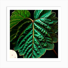 Mulberry leaf Art Print