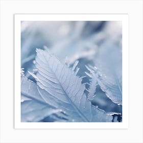 Frosty Leaves 6 Art Print