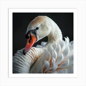 Swan Beak 2 Art Print