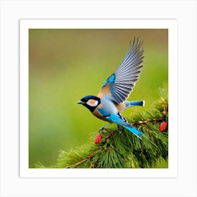 Blue Tit 27 Art Print