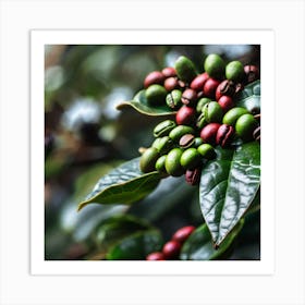 Coffee Beans On A Tree 27 Art Print