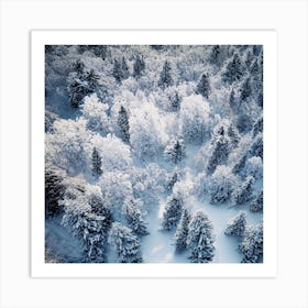 Aerial View Of Snow Covered Forest 1 Art Print