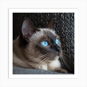 Siamese Cat With Blue Eyes Art Print