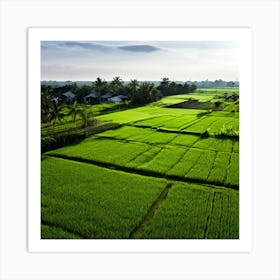 Grow Plant Green Background Field Aerial Landscape Pattern Agriculture Grass Harvesting C (6) Art Print