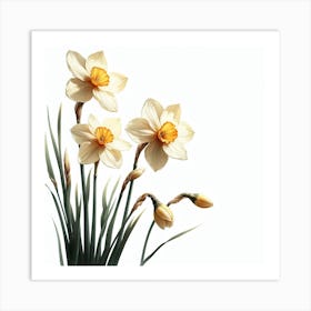 Flowers of Narcissus 2 Art Print