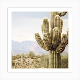 Cactus Desert View Square Art Print