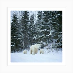 Firefly Bear, Mama, Cubs, Snow, Winter, Beautiful, Wildlife, Family, Nature, Forest, Snowy, Serene, (9) Art Print