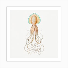 Vintage Squid, Ernst Haeckel Art Print